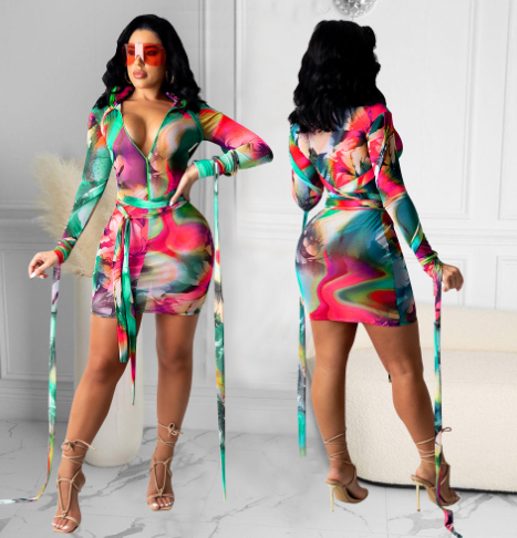 Women's Printed Mesh See-Through Dress